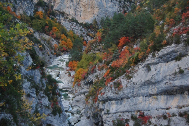 escalada en el bosque 